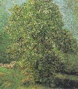 Vincent Van Gogh, Blossoming Chestnut Tree